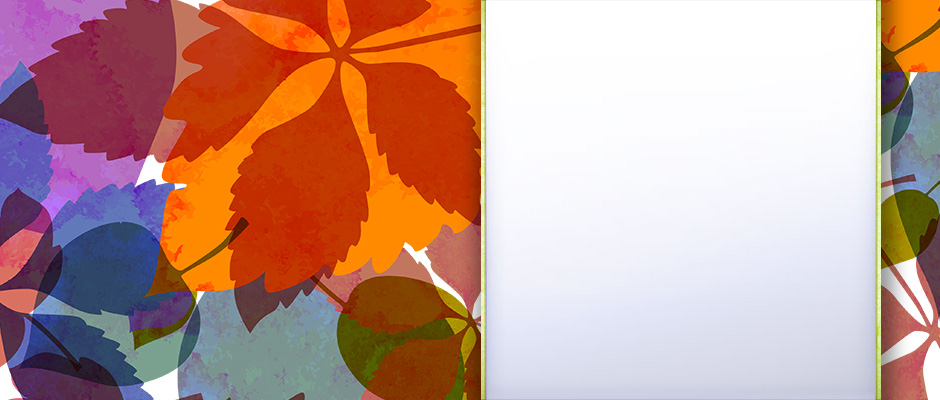 Test Slide 1